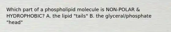 Which part of a phospholipid molecule is NON-POLAR & HYDROPHOBIC? A. the lipid "tails" B. the glyceral/phosphate "head"