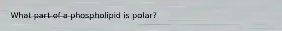 What part of a phospholipid is polar?