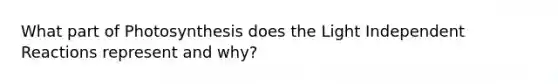 What part of Photosynthesis does the Light Independent Reactions represent and why?