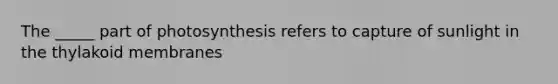 The _____ part of photosynthesis refers to capture of sunlight in the thylakoid membranes