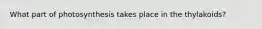 What part of photosynthesis takes place in the thylakoids?