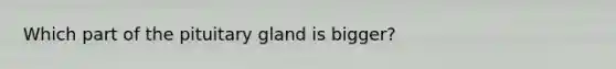 Which part of the pituitary gland is bigger?