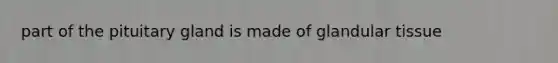 part of the pituitary gland is made of glandular tissue