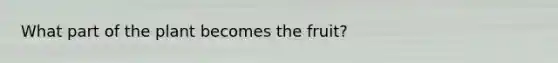 What part of the plant becomes the fruit?