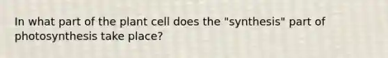 In what part of the plant cell does the "synthesis" part of photosynthesis take place?