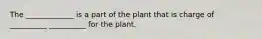 The _____________ is a part of the plant that is charge of __________ __________ for the plant.