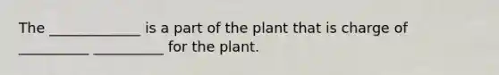 The _____________ is a part of the plant that is charge of __________ __________ for the plant.