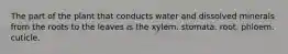 The part of the plant that conducts water and dissolved minerals from the roots to the leaves is the xylem. stomata. root. phloem. cuticle.