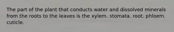 The part of the plant that conducts water and dissolved minerals from the roots to the leaves is the xylem. stomata. root. phloem. cuticle.