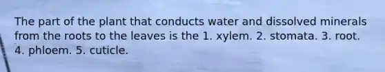 The part of the plant that conducts water and dissolved minerals from the roots to the leaves is the 1. xylem. 2. stomata. 3. root. 4. phloem. 5. cuticle.