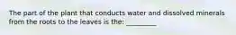 The part of the plant that conducts water and dissolved minerals from the roots to the leaves is the: _________