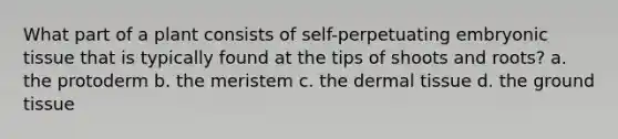 What part of a plant consists of self-perpetuating embryonic tissue that is typically found at the tips of shoots and roots? a. the protoderm b. the meristem c. the <a href='https://www.questionai.com/knowledge/kRKdINDJId-dermal-tissue' class='anchor-knowledge'>dermal tissue</a> d. the <a href='https://www.questionai.com/knowledge/kb0kKBaH0H-ground-tissue' class='anchor-knowledge'>ground tissue</a>