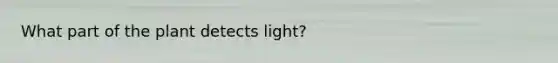 What part of the plant detects light?