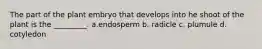 The part of the plant embryo that develops into he shoot of the plant is the _________. a.endosperm b. radicle c. plumule d. cotyledon