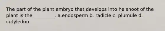 The part of the plant embryo that develops into he shoot of the plant is the _________. a.endosperm b. radicle c. plumule d. cotyledon