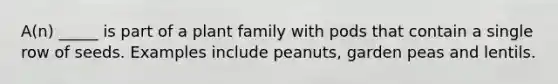 A(n) _____ is part of a plant family with pods that contain a single row of seeds. Examples include peanuts, garden peas and lentils.