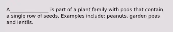 A________________ is part of a plant family with pods that contain a single row of seeds. Examples include: peanuts, garden peas and lentils.