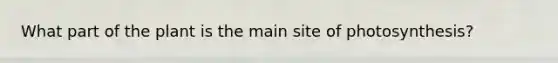 What part of the plant is the main site of photosynthesis?