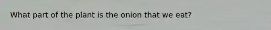 What part of the plant is the onion that we eat?