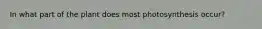In what part of the plant does most photosynthesis occur?