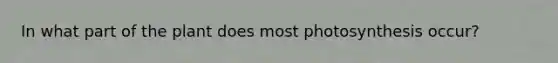In what part of the plant does most photosynthesis occur?