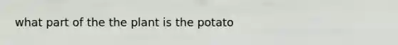 what part of the the plant is the potato