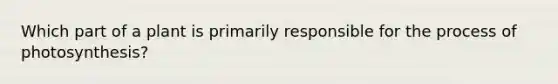 Which part of a plant is primarily responsible for the process of photosynthesis?