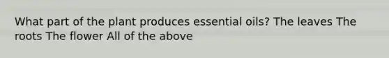 What part of the plant produces essential oils? The leaves The roots The flower All of the above