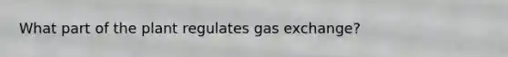 What part of the plant regulates gas exchange?