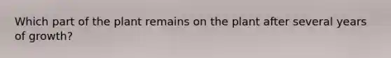 Which part of the plant remains on the plant after several years of growth?