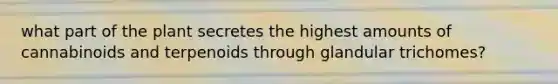 what part of the plant secretes the highest amounts of cannabinoids and terpenoids through glandular trichomes?