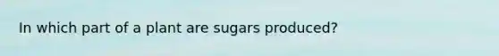 In which part of a plant are sugars produced?