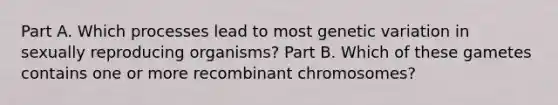 Part A. Which processes lead to most genetic variation in sexually reproducing organisms? Part B. Which of these gametes contains one or more recombinant chromosomes?