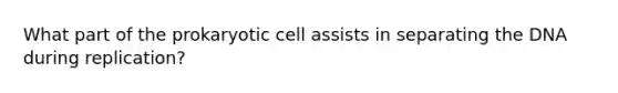 What part of the prokaryotic cell assists in separating the DNA during replication?