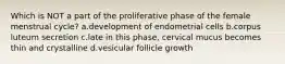 Which is NOT a part of the proliferative phase of the female menstrual cycle? a.development of endometrial cells b.corpus luteum secretion c.late in this phase, cervical mucus becomes thin and crystalline d.vesicular follicle growth