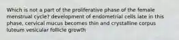 Which is not a part of the proliferative phase of the female menstrual cycle? development of endometrial cells late in this phase, cervical mucus becomes thin and crystalline corpus luteum vesicular follicle growth