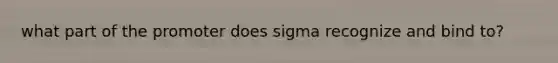 what part of the promoter does sigma recognize and bind to?