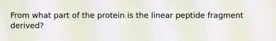 From what part of the protein is the linear peptide fragment derived?