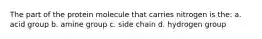 The part of the protein molecule that carries nitrogen is the: a. acid group b. amine group c. side chain d. hydrogen group