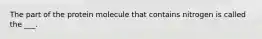 The part of the protein molecule that contains nitrogen is called the ___.