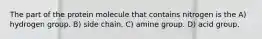 The part of the protein molecule that contains nitrogen is the A) hydrogen group. B) side chain. C) amine group. D) acid group.