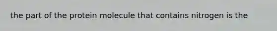 the part of the protein molecule that contains nitrogen is the