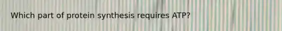 Which part of protein synthesis requires ATP?