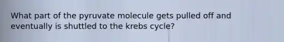 What part of the pyruvate molecule gets pulled off and eventually is shuttled to the <a href='https://www.questionai.com/knowledge/kqfW58SNl2-krebs-cycle' class='anchor-knowledge'>krebs cycle</a>?