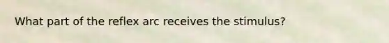 What part of the reflex arc receives the stimulus?