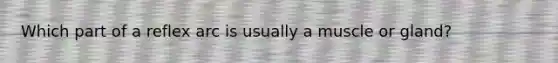 Which part of a reflex arc is usually a muscle or gland?