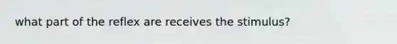 what part of the reflex are receives the stimulus?