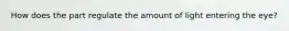 How does the part regulate the amount of light entering the eye?