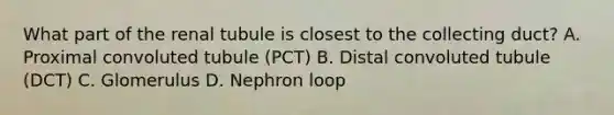 What part of the renal tubule is closest to the collecting duct? A. Proximal convoluted tubule (PCT) B. Distal convoluted tubule (DCT) C. Glomerulus D. Nephron loop