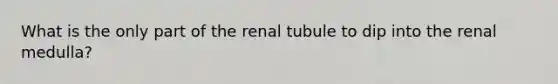 What is the only part of the renal tubule to dip into the renal medulla?